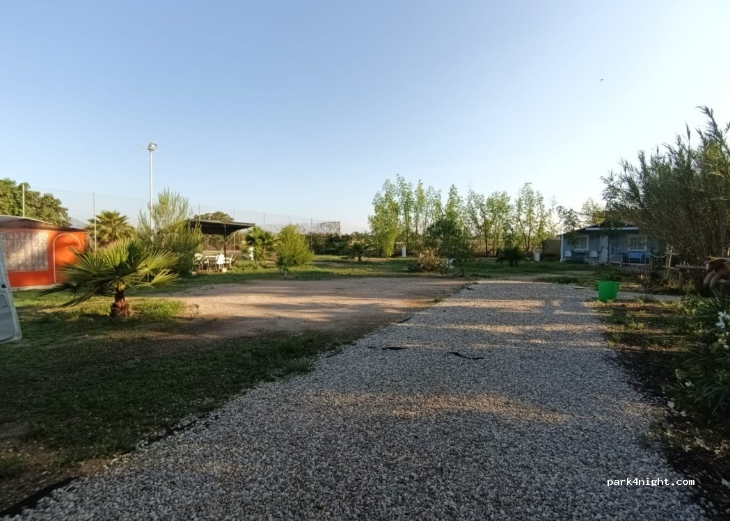 (03293) Daimés - — foto