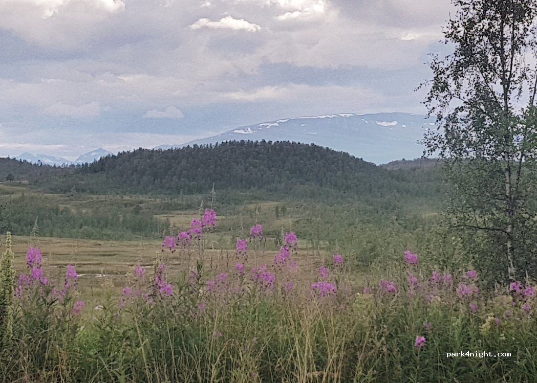 (9350) Seljeskog - — foto 2
