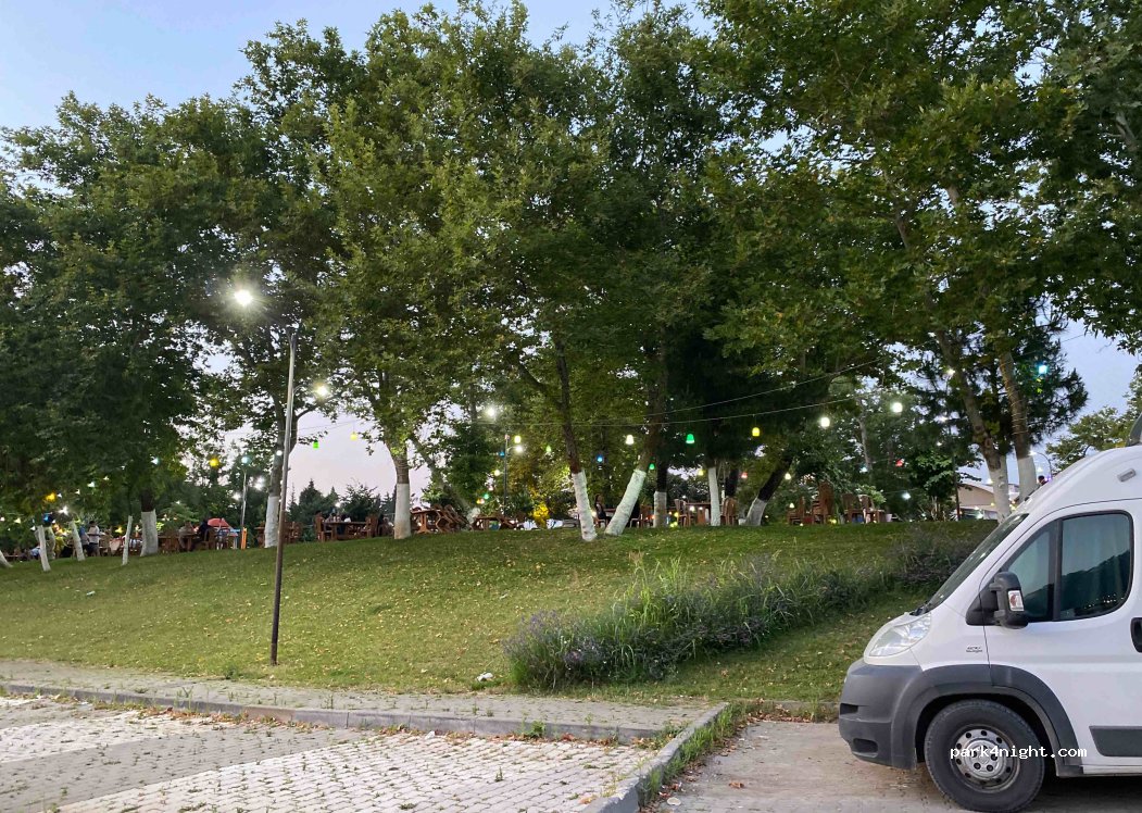 (17200) Sakarya - No:6/D Rafet Gürkaynak Caddesi — foto