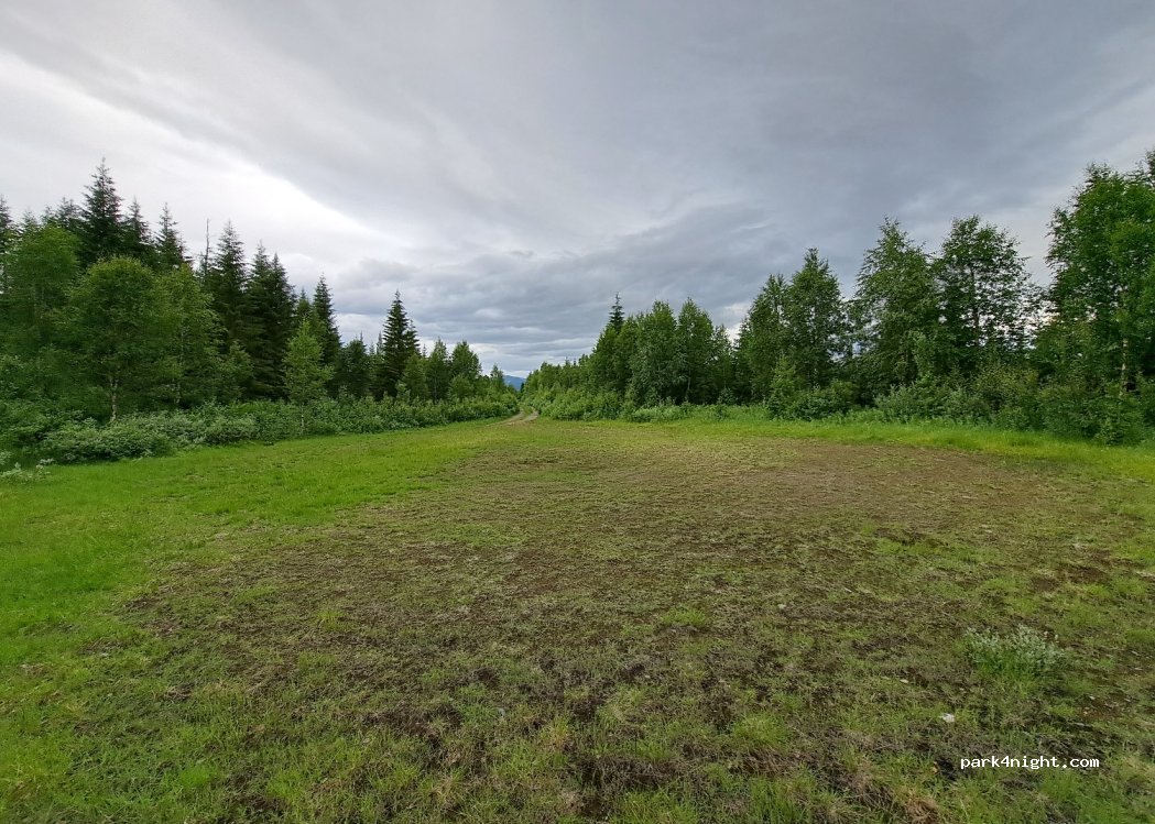 (7882) Skjellbreid - — foto