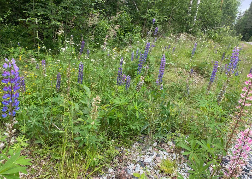 (680 96) Lesjöfors - — foto 3