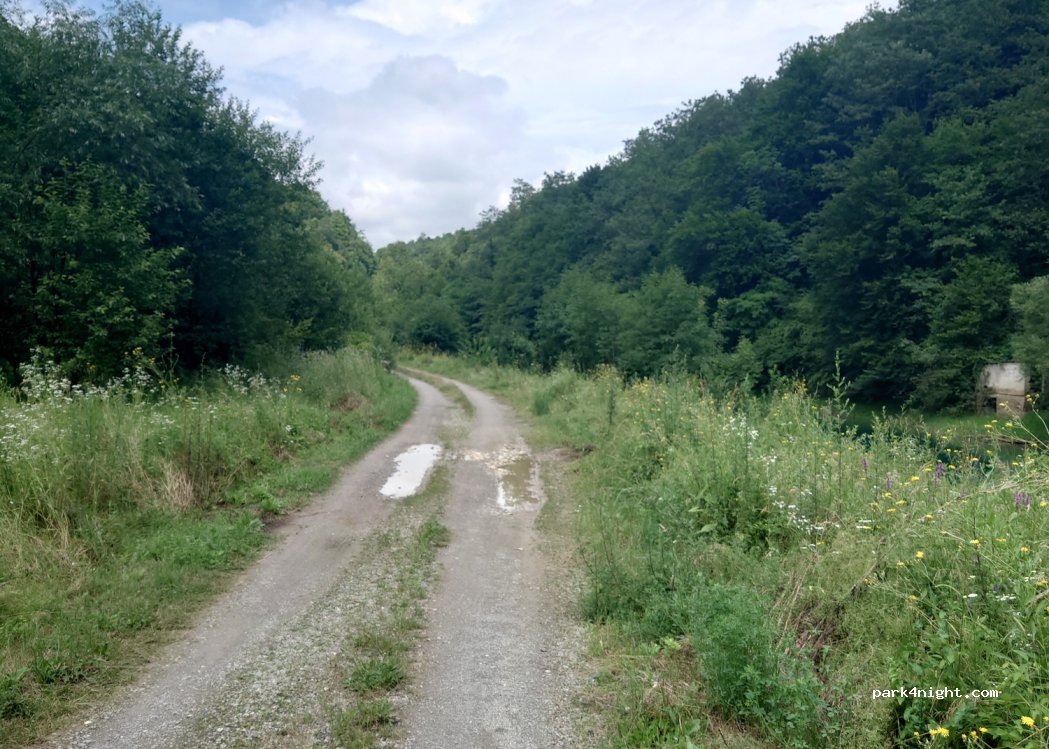(77240) Pučenik - — foto 2