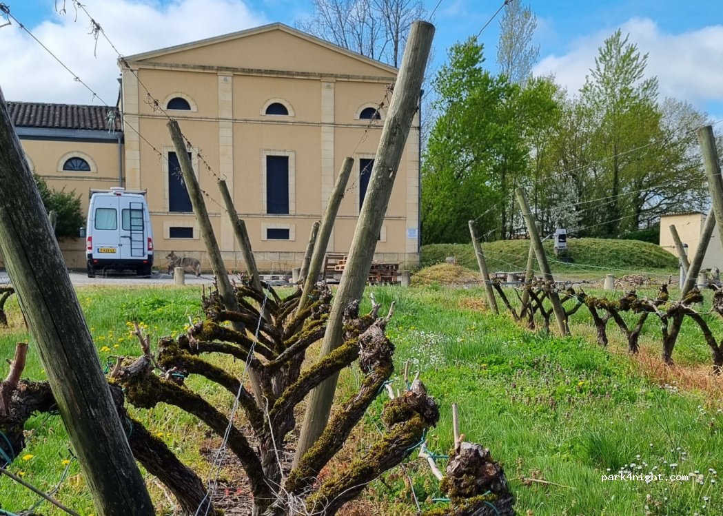 Château Bertinerie — foto 2