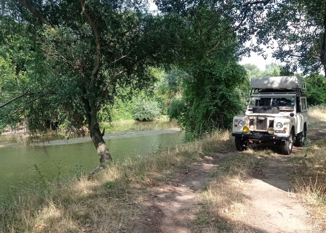 (307386) Igriș - — foto
