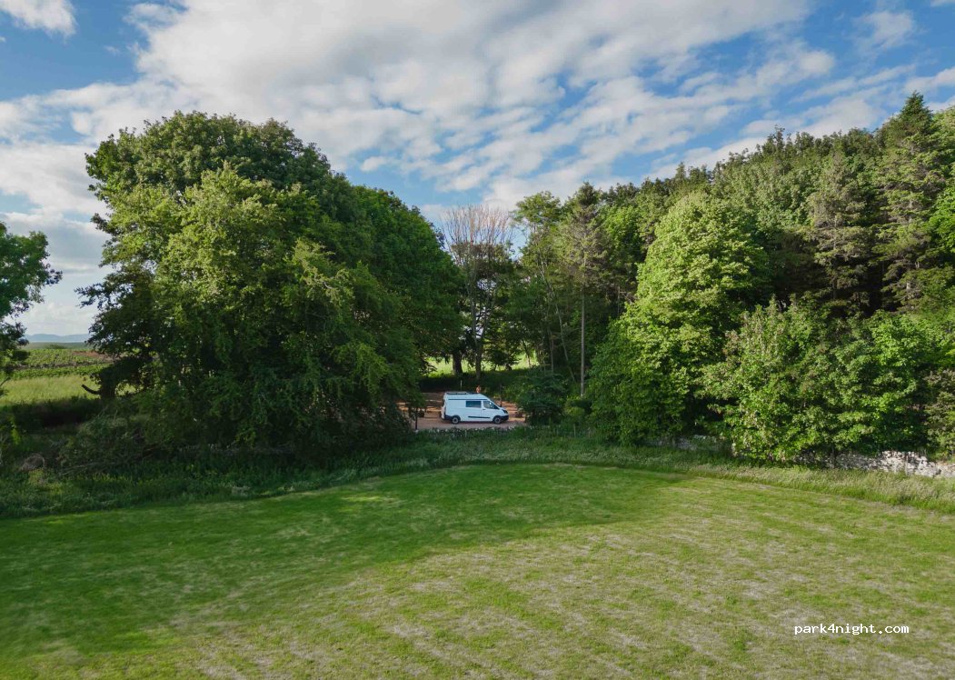 The Copse — foto