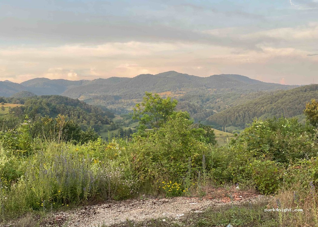 (327031) Fizeș - — foto