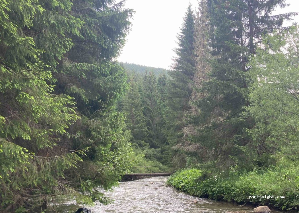 (607303) Șesuri - — foto