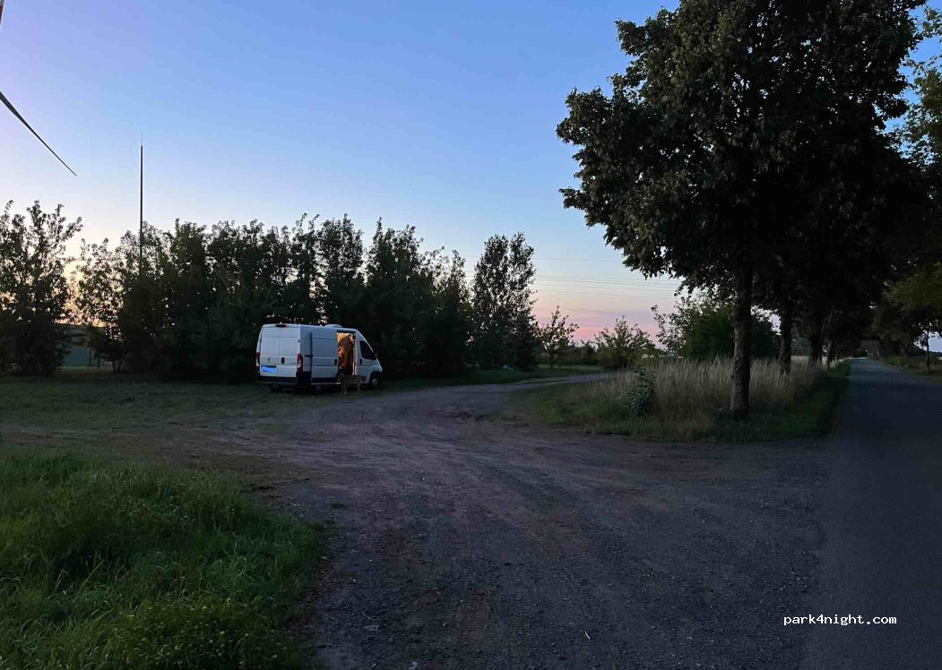 (16818) Märkisch Linden - — foto