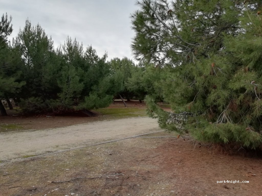 (50007) Zaragoza - Calle San Polo — foto