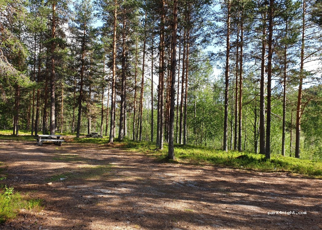 (840 60) Bräcke - — foto 2