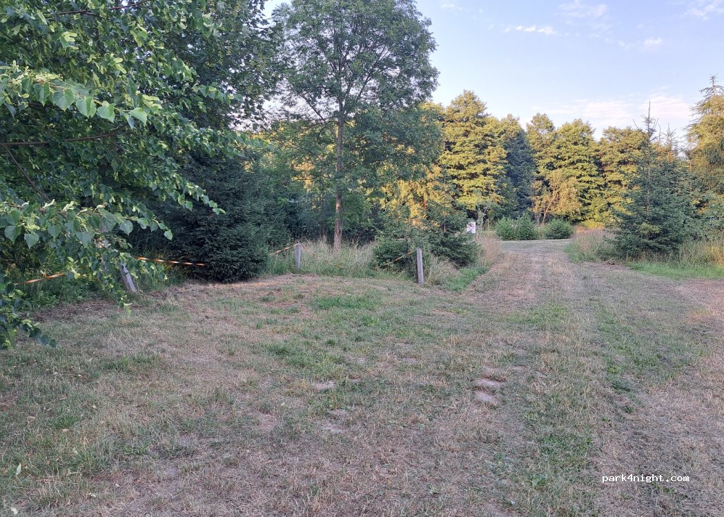 (09518) Großrückerswalde - Unnamed Road — foto