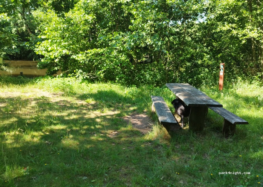 (8660) Skanderborg - 16 Højlundvej — foto 2