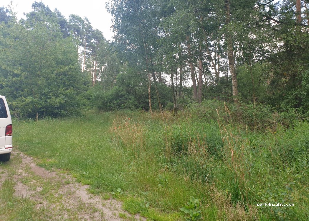 (16244) Schorfheide - — foto 3
