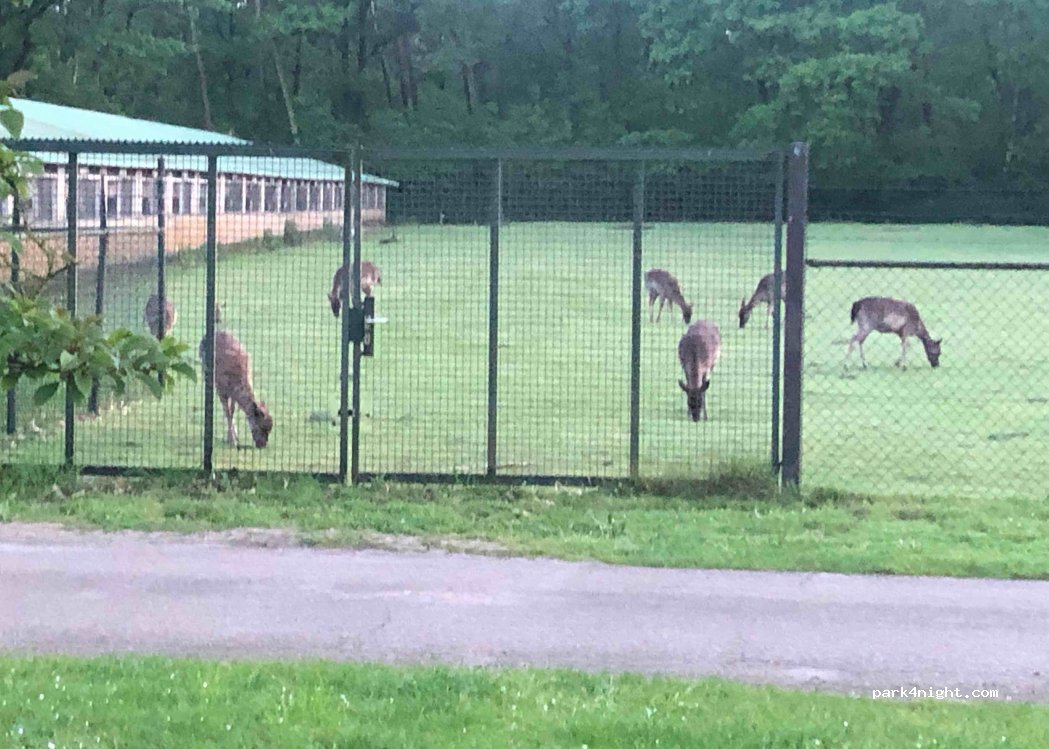 Nabij de Fossa Eugenia — foto 3