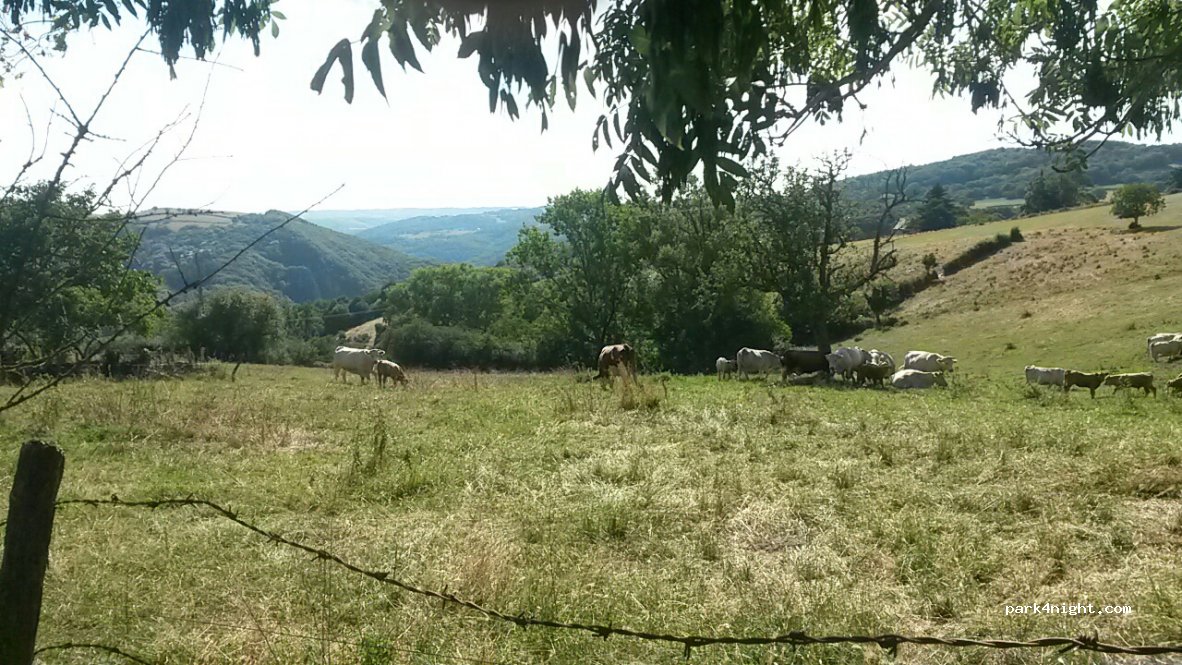 (03450) Chouvigny - Les Guillins — foto 3