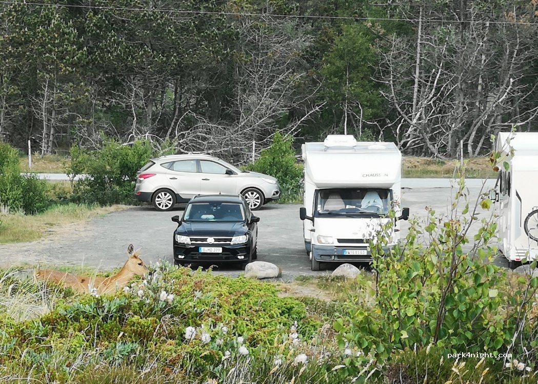 (4550) Farsund - Loshavnveien — foto