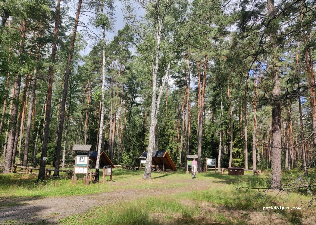 (83) Studzienice - Unnamed Road — foto