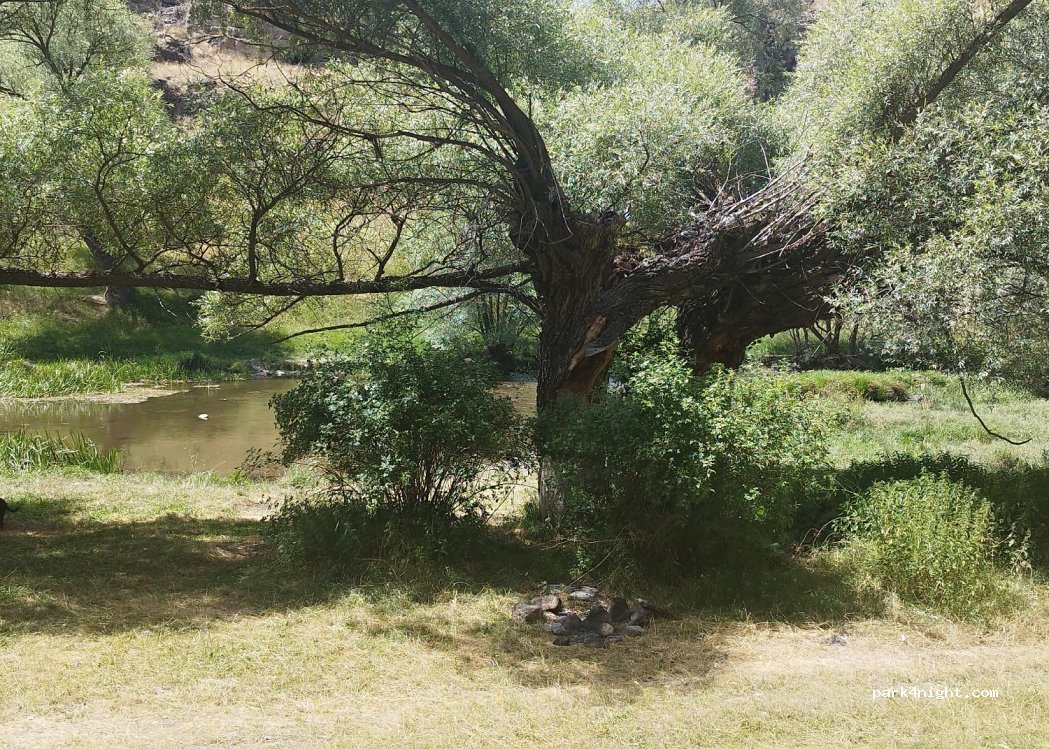 (18300) Sünürlü - — foto 2