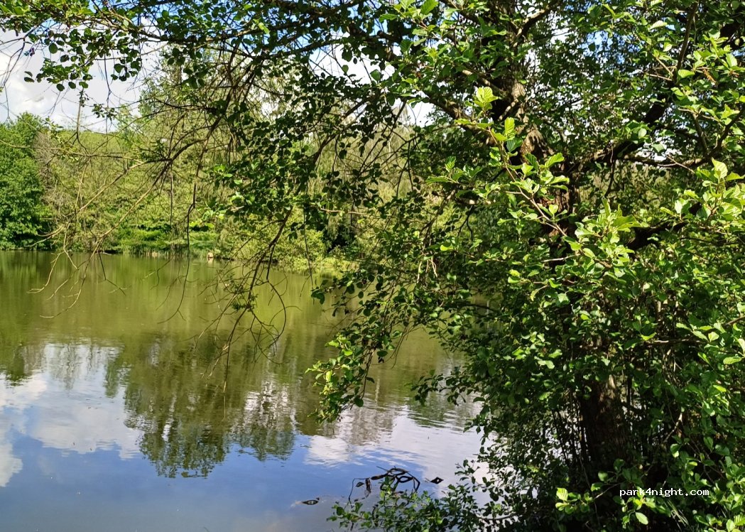 Forest View Camping & B&B — foto
