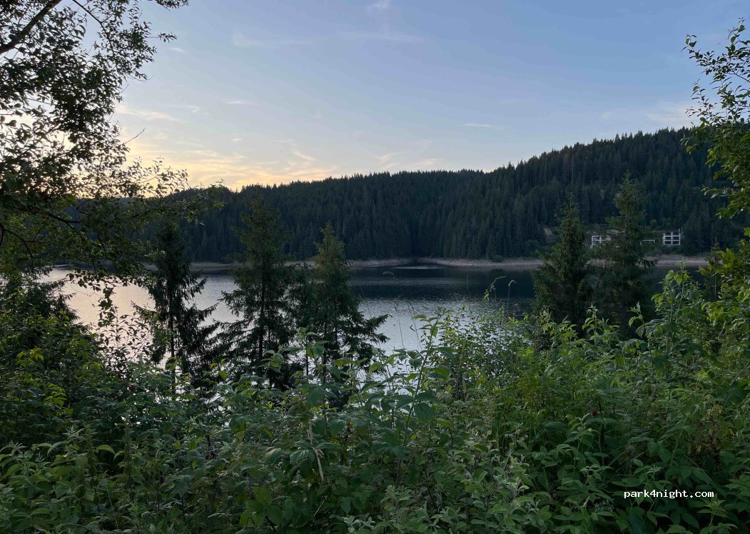 (407390) Mărișel - — foto