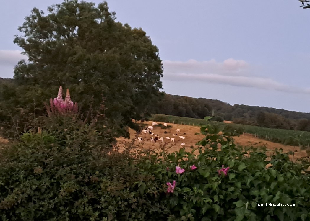 Les Chalets du Perche — foto 2