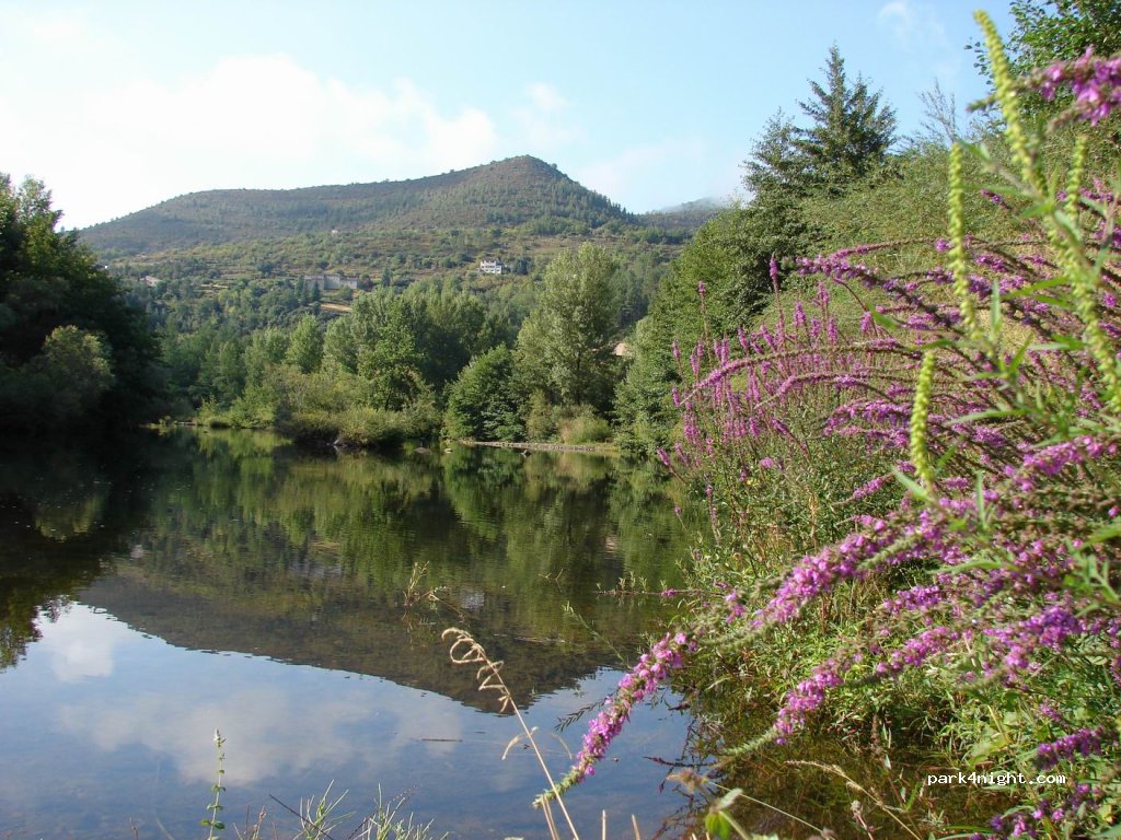 Camping le Mas du Serre — foto 5