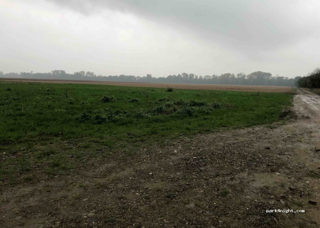 (783 75) Věrovany - — foto 3