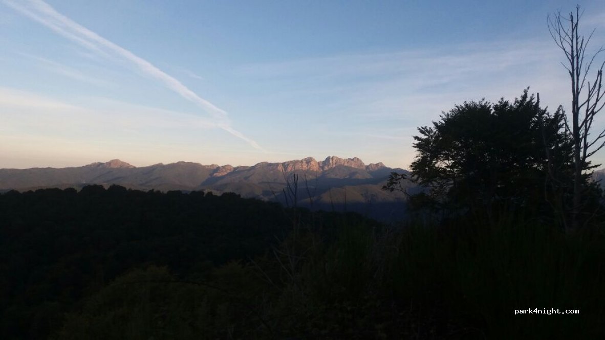 (20140) Olivese - D69 — foto 3