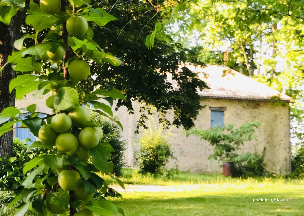 Côté Verger — foto 2