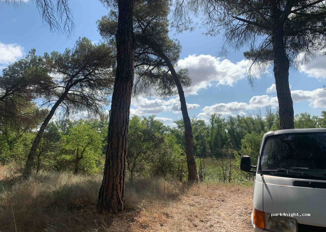 (47239) Villanueva de Duero - — foto
