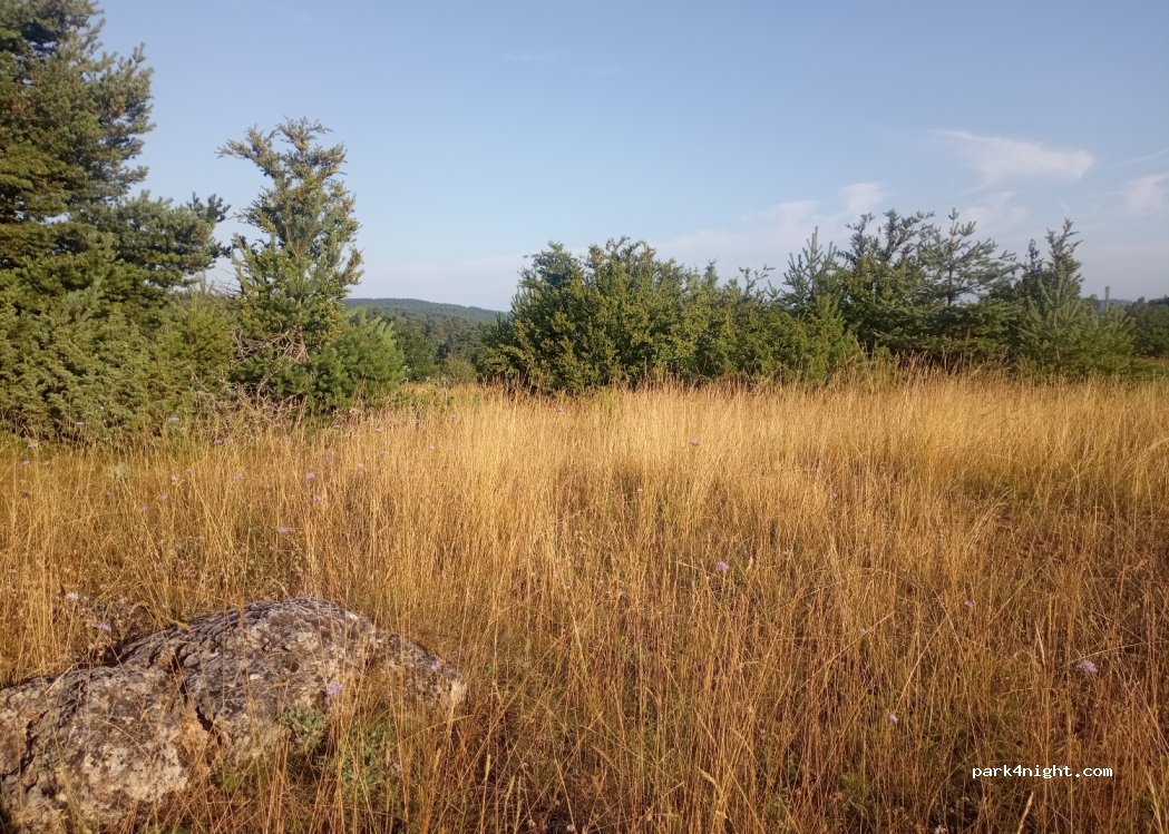 (48210) La Malène - — foto