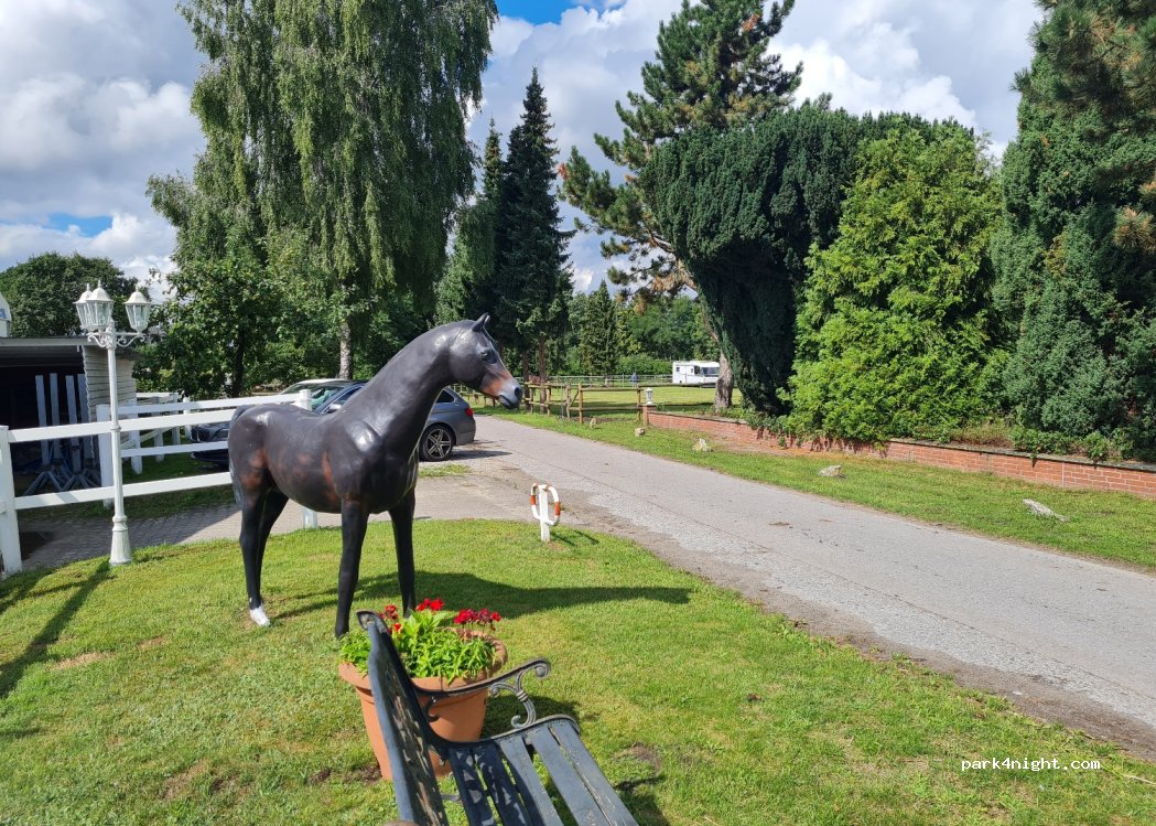 Stellplatz am Reitstall Thiele — foto 4