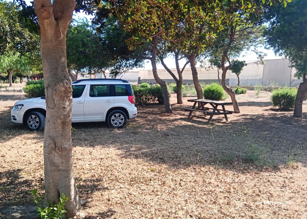 (04715) El Ejido - 57 Calle Rastro — foto 4