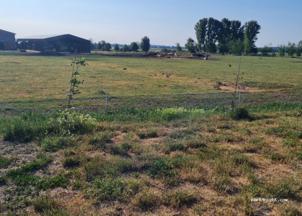 Landhof Schmergow | Wohnmobilstellplatz mit Weideblick — foto