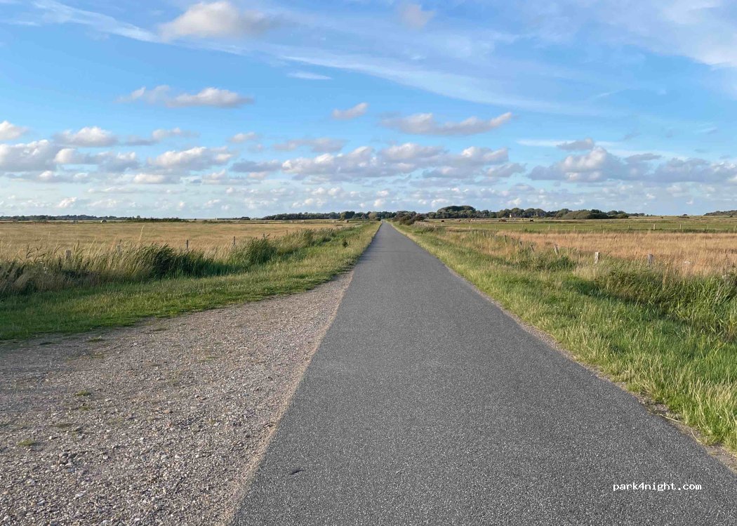 (25980) Sylt - — foto
