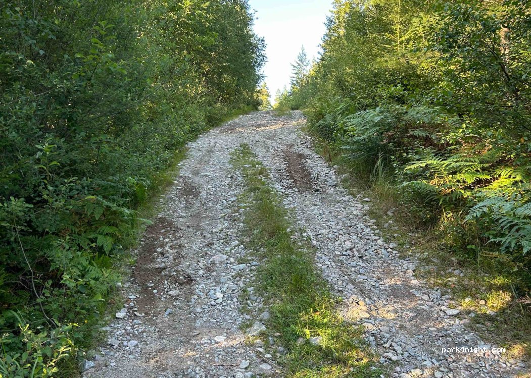 (451 94) Uddevalla - Unnamed Road — foto 3