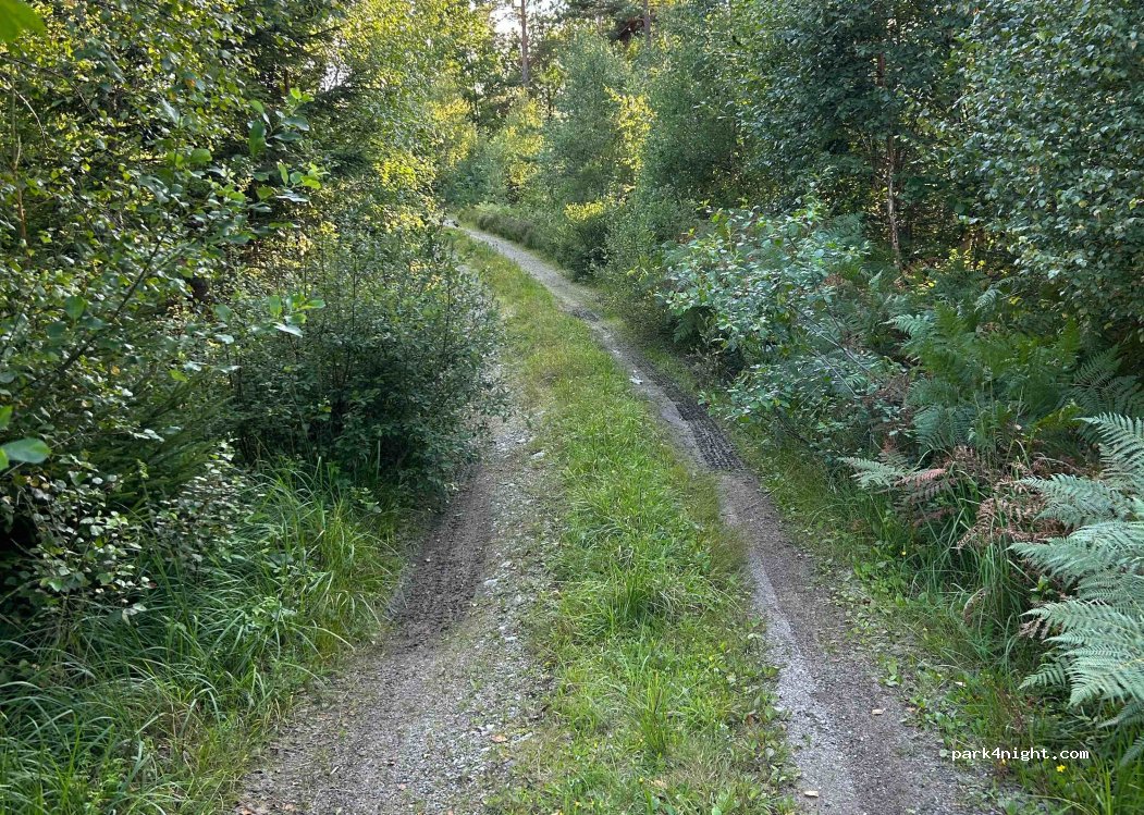 (451 94) Uddevalla - Unnamed Road — foto 4