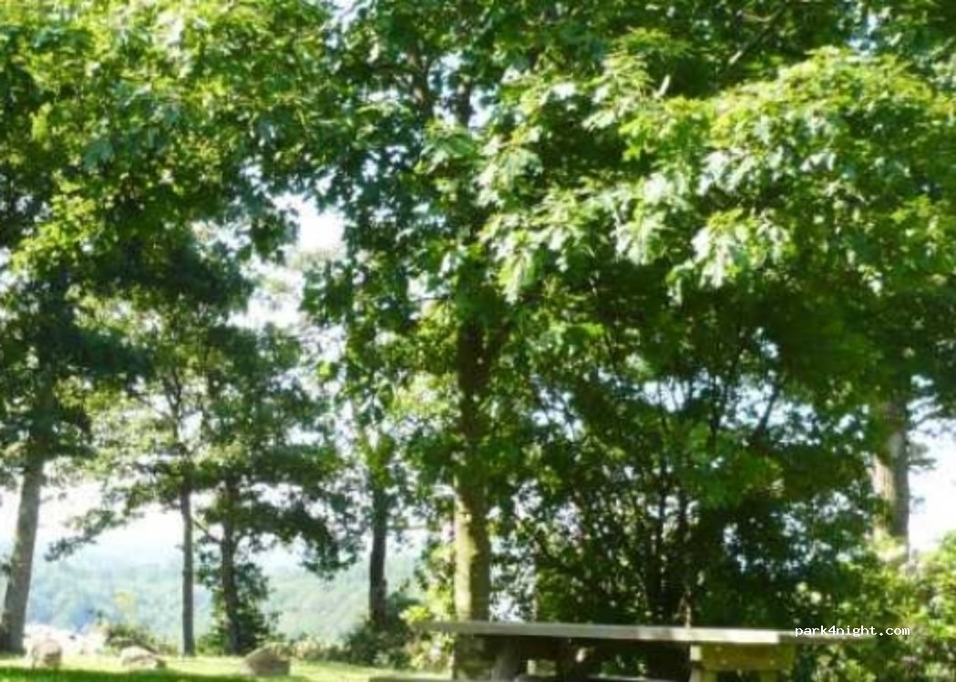 (72400) Villaines-la-Gonais - 1 D323 — foto