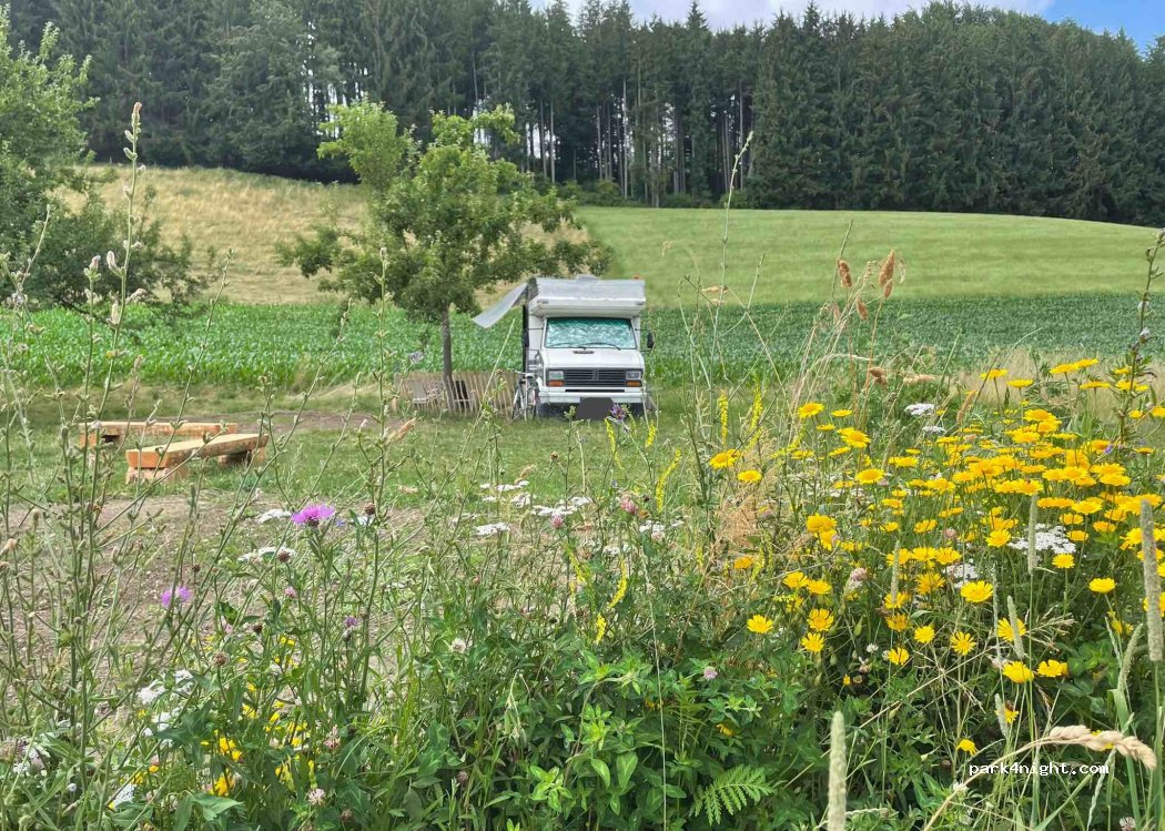 Urlaub wo Fuchs und Hase sich gute Nacht sagen! — foto