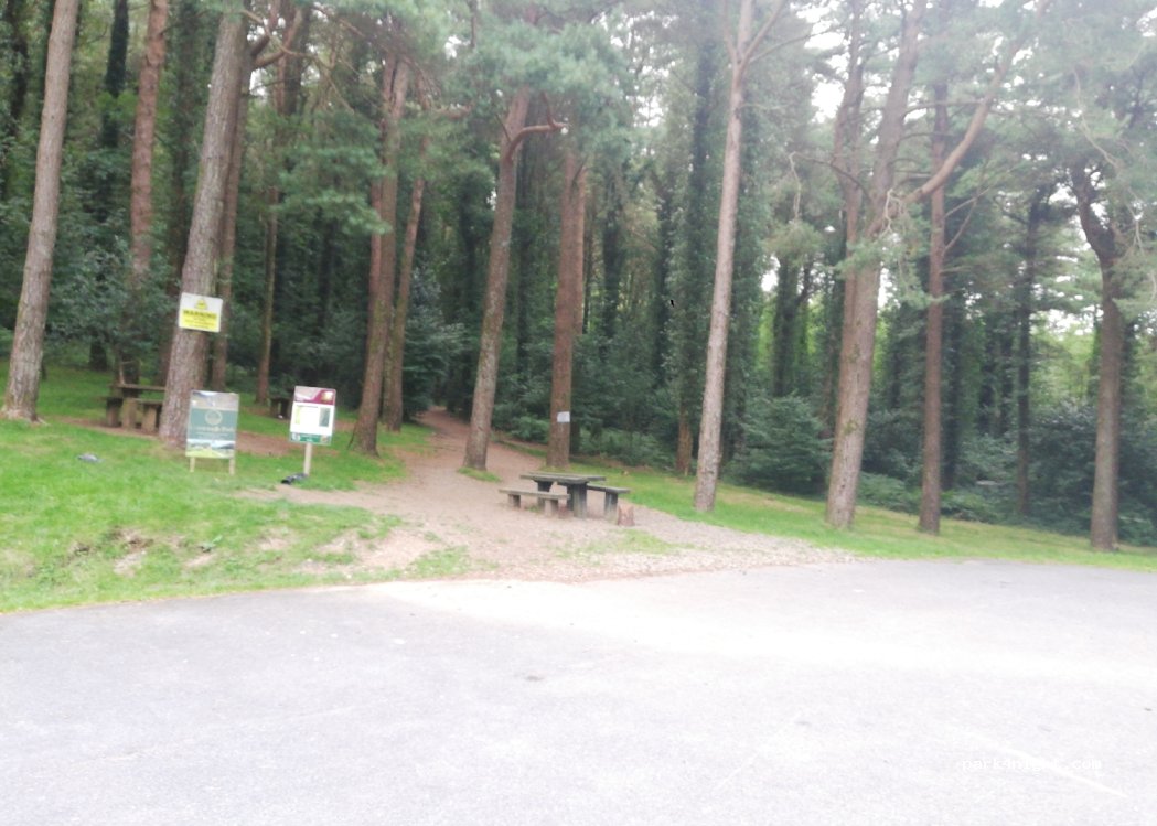 () Camblin - R676 — foto 2
