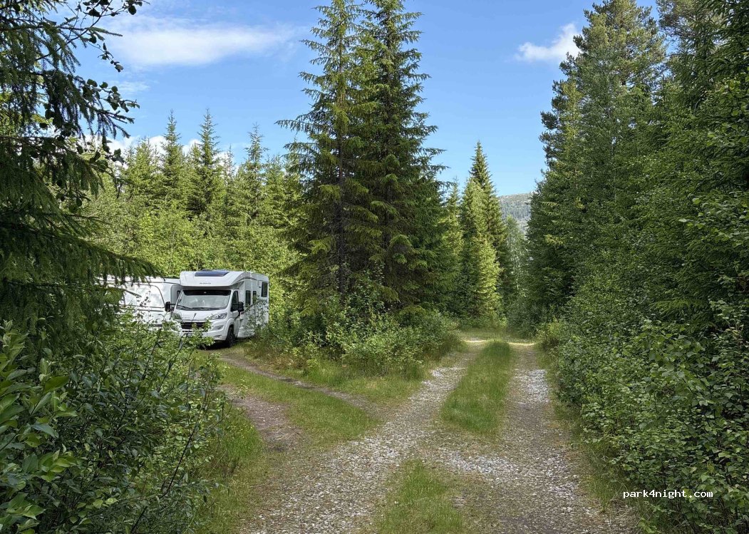 (2476) Atnmoen - — foto 3