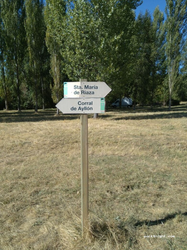 (40594) Ayllón - N-110 — foto 3