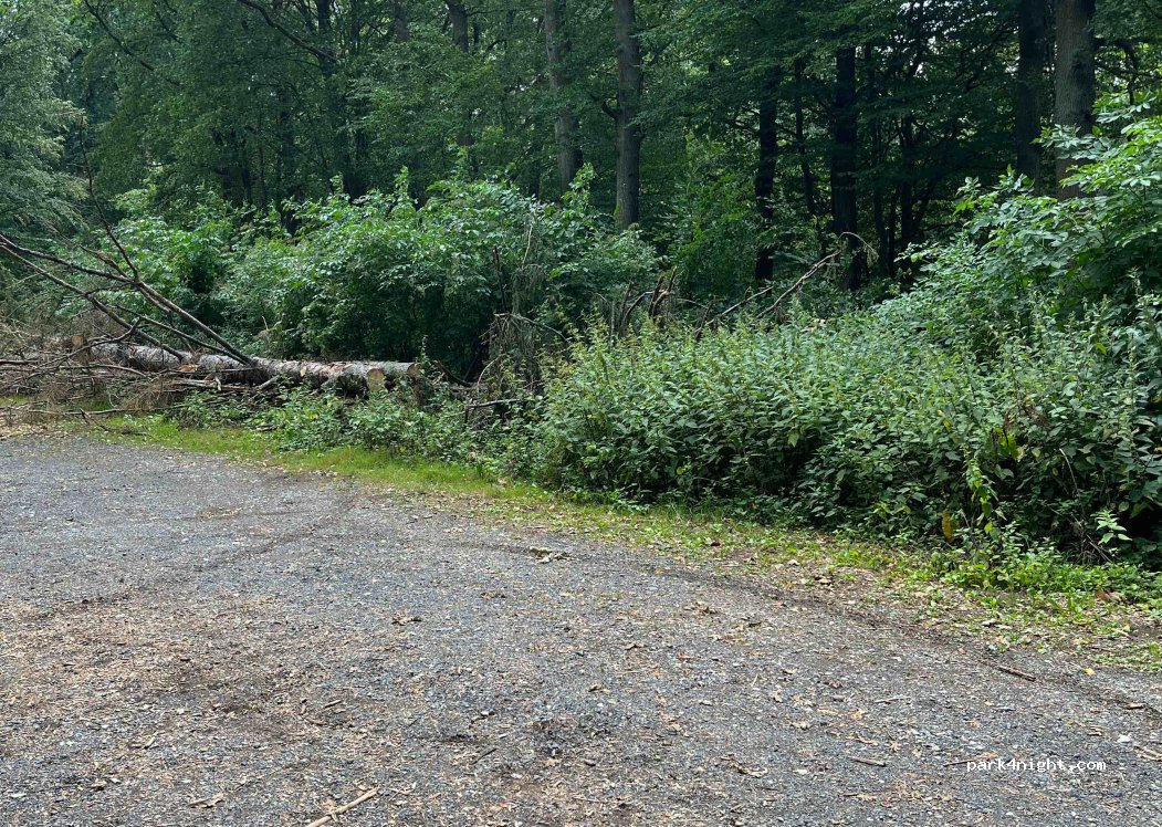 (36088) Hünfeld - — foto 3