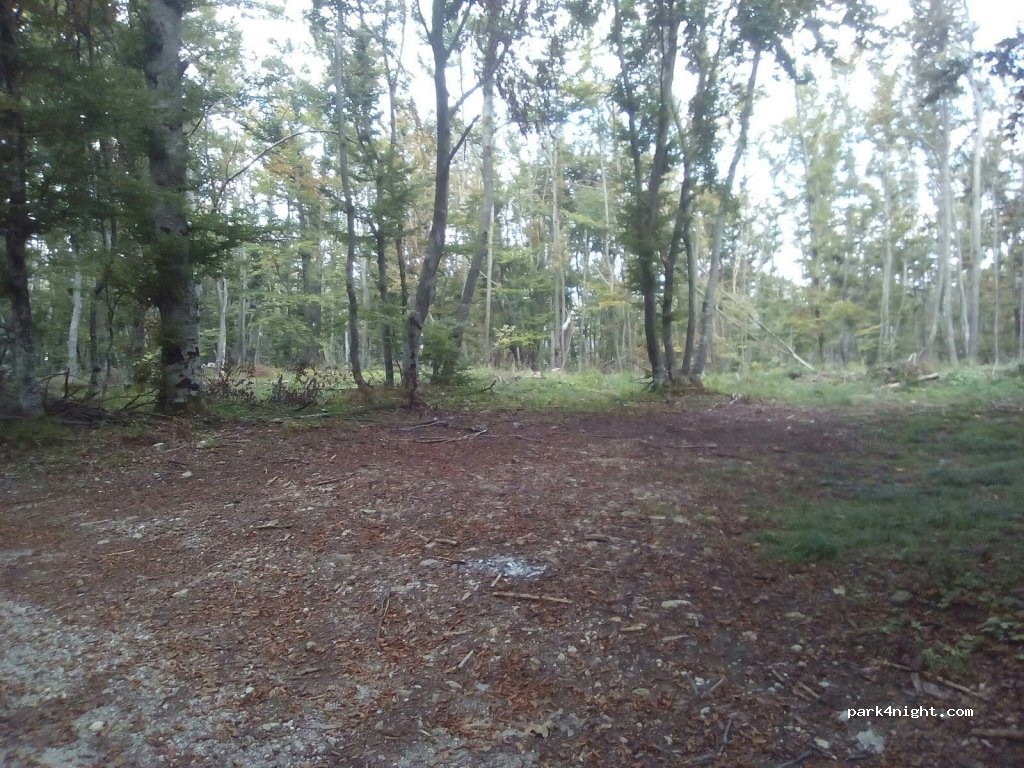 (1384)  - Podlož — foto 2