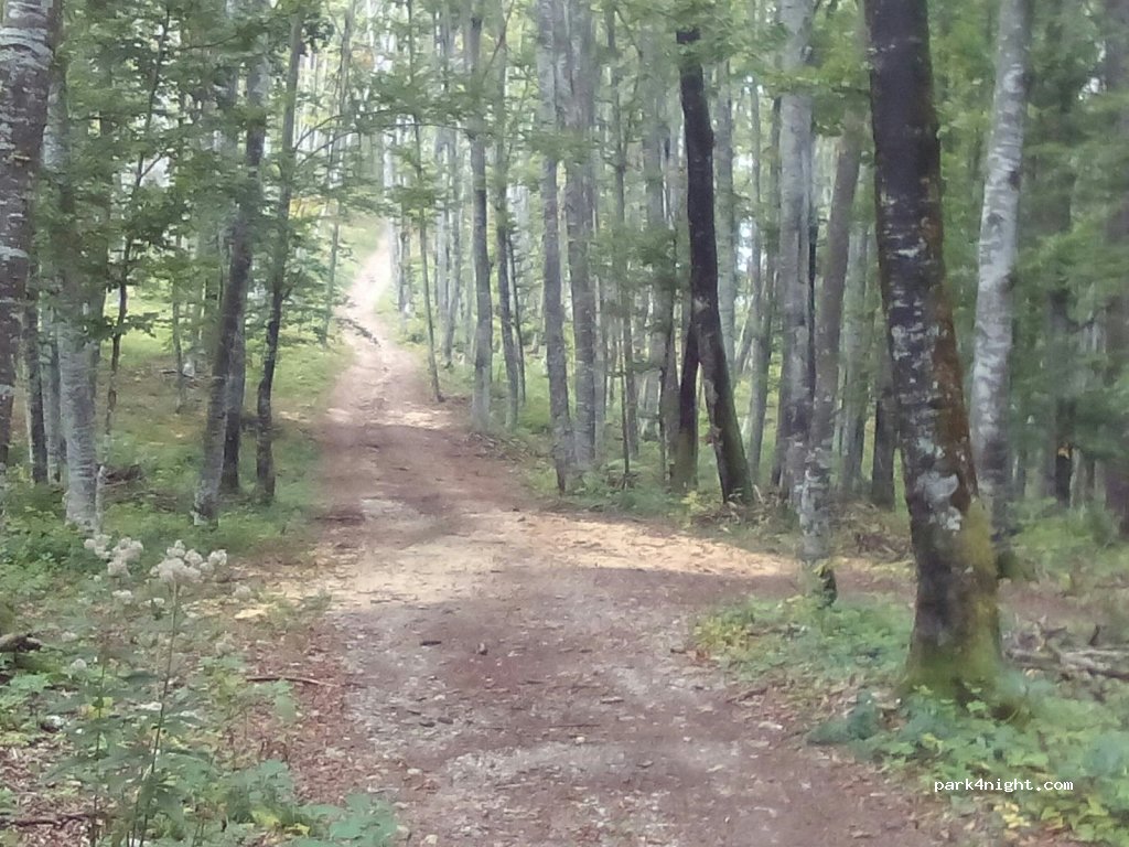 (1384)  - Podlož — foto 3