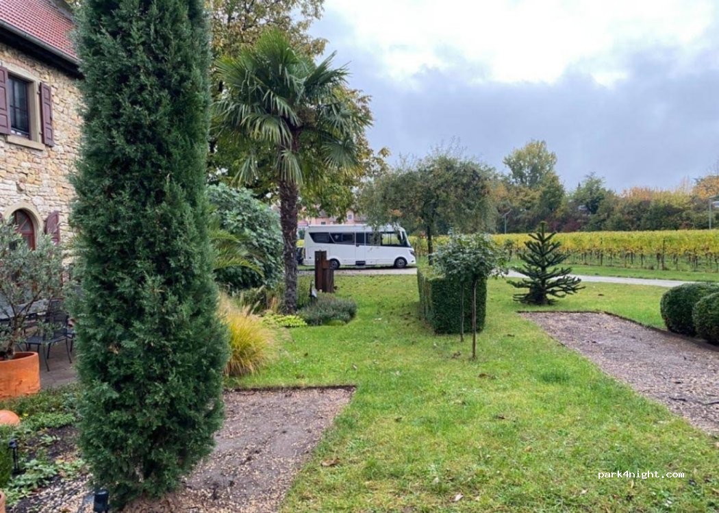 Weingut Dreihornmühle — foto 4