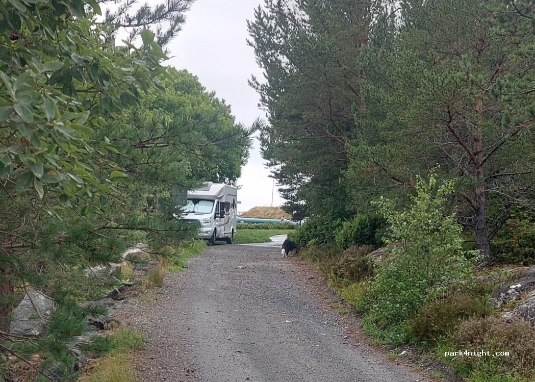 (6670) Møre og Romsdal - E39 — foto 4
