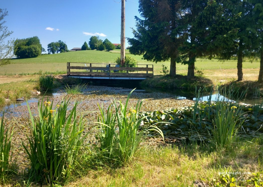 Peter's Gemüsefeld — foto