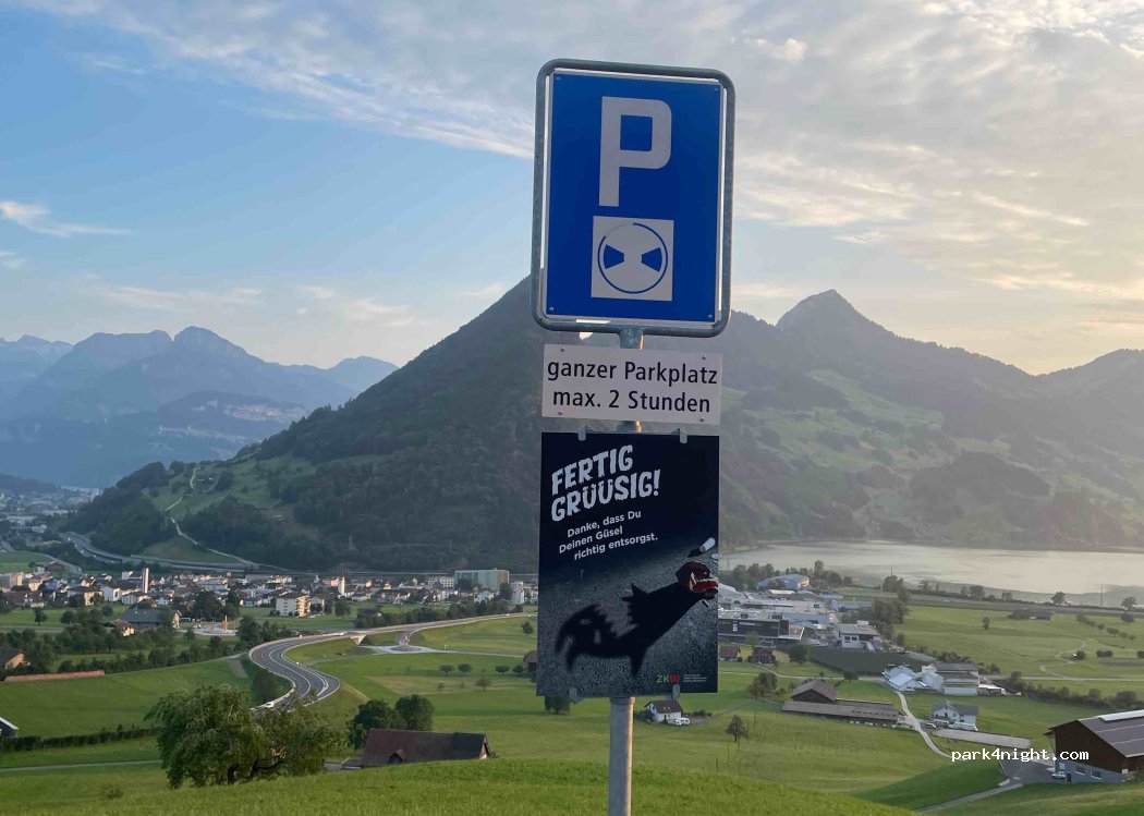 (6423) Schwyz - Bohl — foto 2