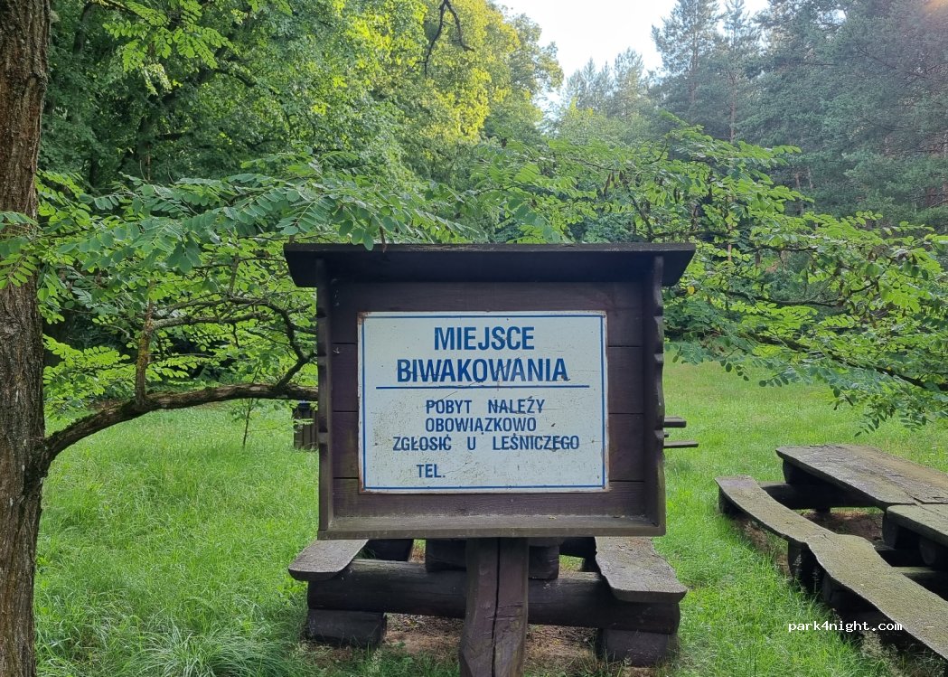 (82) Uśnice - Unnamed Road — foto 3